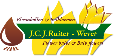 Logo J.C.J Ruiter-Wever