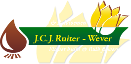 Logo J.C.J Ruiter-Wever